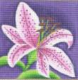 BG-F12.jpg - 4557 Bytes